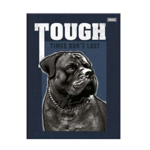 Caderno Brochura Power Dog 80 Folhas - Foroni