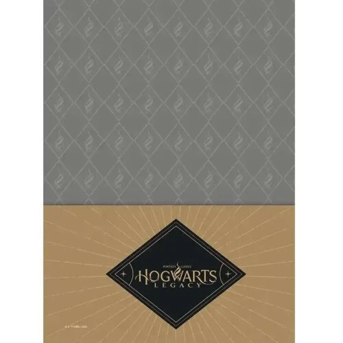 Caderno Espiral 101 Hogwarts Legacy 160 Folhas - Jandaia