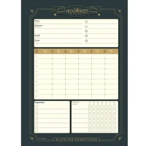 Caderno Espiral 101 Hogwarts Legacy 160 Folhas - Jandaia