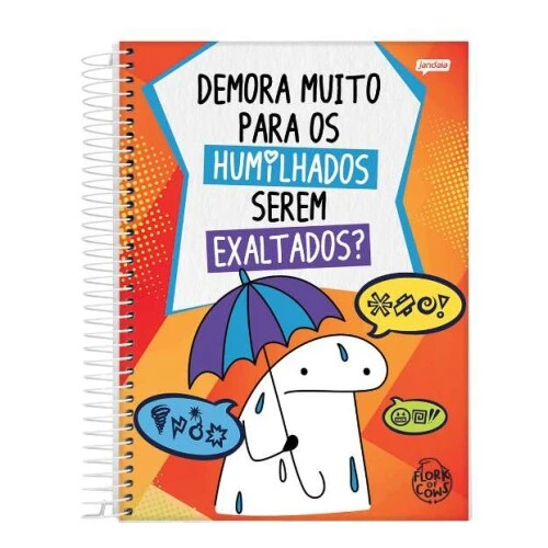 Caderno Universitário 10 Matérias Flork 160 Folhas - Jandaia