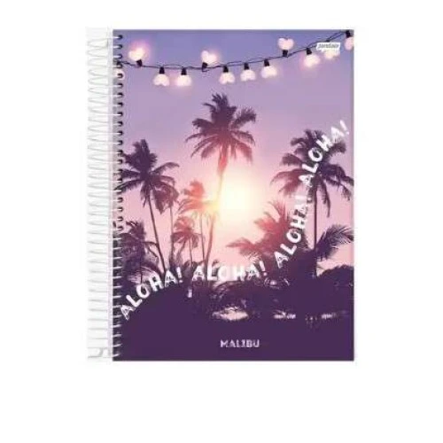 Caderno Universitário 10 Matérias Malibu 200 Folhas - Jandaia