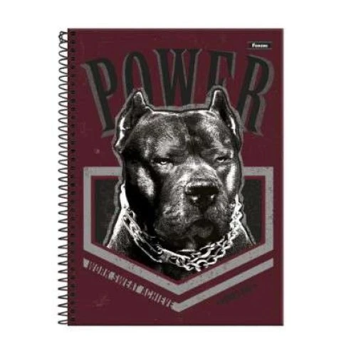 Caderno Universitário 10 matéria Power Dog 160 Folhas  Foroni