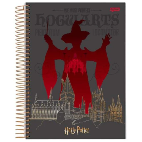 Caderno Universitário 15 matérias Harry Potter 300 Folhas - Jandaia