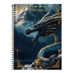 Caderno Universitário Drakos 1 Matéria Grande 80 Folhas - Foroni