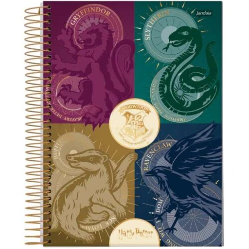 Caderno Universitário Sortido 20 Matérias - Harry Poter