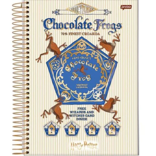 Caderno Universitário Sortido 20 Matérias - Harry Poter