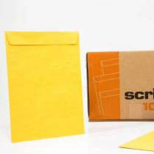 Envelope Scrity com 100 Saco Ouro 260X360