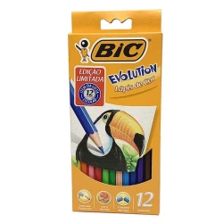 Lápis De Cor Sextavado Bic 12 Cores - Bic