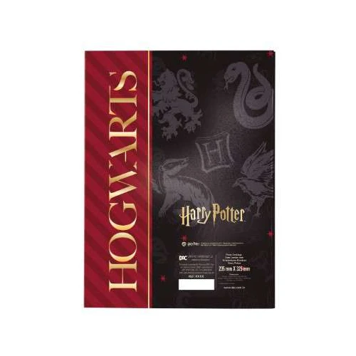 Pasta com Elástico Plástica Harry Potter - DAC