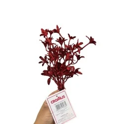 Pick Natalino Haste Folhas Vermelha Brilhante 2cm - Cromus