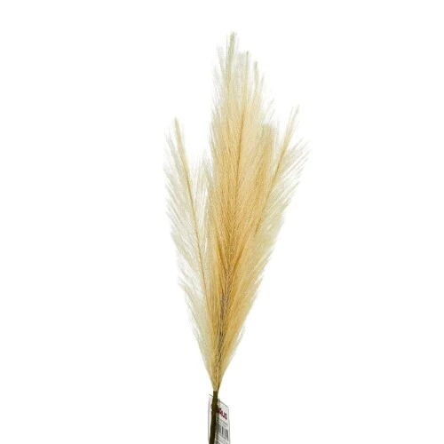 Pick Natalino Haste Pena Cru 60cm - Cromus Pick Natalino Haste Pena Cru 60cm - Cromus