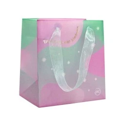 Sacola Plástica Decorada Dac Pop  8,8x13x14 cm